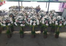 Kütük Bambu Şamdan