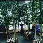 Ahşap Saksıda Bambu